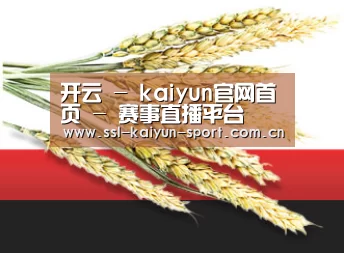 开云 - kaiyun官网首页 - 赛事直播平台
